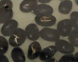 市販品の黒豆をさらに美味しくする方法作り方2写真