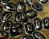 市販品の黒豆をさらに美味しくする方法作り方7写真