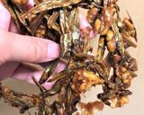 胡桃入り✿田作り✿子供大好き絶品カリカリ作り方9写真