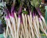 日野の日野菜農家さん日野菜漬け作り方2写真