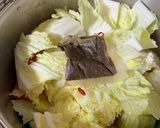 とろりっ☆柔らか鶏肉と白菜の春雨煮込み作り方1写真