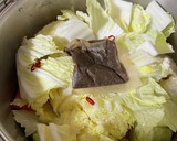 とろりっ☆柔らか鶏肉と白菜の春雨煮込み作り方1写真
