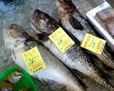 たら鍋（タラちり）～魚の駅生地～作り方1写真