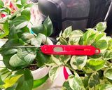 ステーキ&焼き野菜イタリアン風作り方4写真