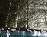 巻き巻きオムライス作り方7写真