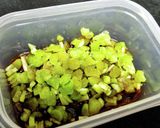 大根の葉っぱ【ご飯のお供】作り方4写真