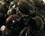 柔らかく程よく艶のある黒豆【おせち】作り方9写真