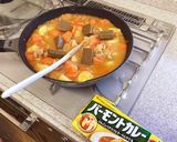 あづみ野バーモントカレー作り方10写真