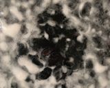 無水鍋でふっくら黒豆作り方2写真