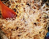 わが家のお節にはおじゃこの甘辛炊き♪作り方4写真