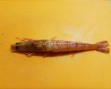 お出汁が美味しい！海老のうま煮作り方2写真