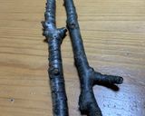 牡蠣の燻製作り方1写真