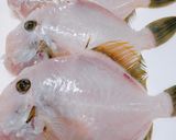 カワハギの煮付け～魚の駅生地～作り方3写真