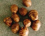 レンジで、里芋の白だし煮作り方1写真