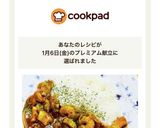 シーフードカレー・シーフードミックス使用作り方12写真