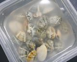 おせち!あさりの殻ごと煮作り方1写真