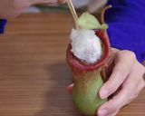 再現レシピ!エビ入りウツボカズラ飯作り方4写真