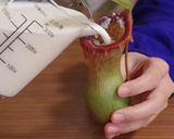 再現レシピ!エビ入りウツボカズラ飯作り方6写真