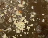 エビ＆レモンのガーリックパスタ作り方2写真