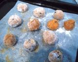 さくさく☆ひとくちきな粉ボール作り方5写真