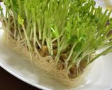 簡単!豆苗のたまごとじ作り方1写真