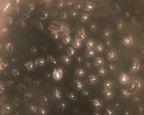 ふっくら艶々黒豆作り方4写真