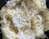 瀬戸内産カキフライ作り方9写真