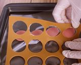 春色♪いちごミルクプリン※動画あり作り方19写真