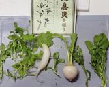お餅も合う。七草味噌汁作り方1写真