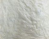 生地から作るホワイトピザ作り方8写真