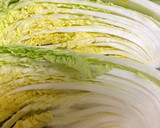 白菜の肉巻きとろりチーズかけ！作り方1写真
