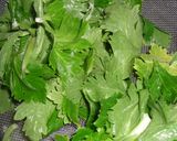 セロリの葉と茎のナムル作り方1写真