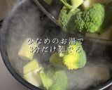 ほっこり優しい！鶏胸豆乳カレー煮作り方5写真