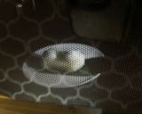 1分で完成！おもちチーズ作り方5写真