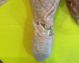 これこそ♬『鶏ももの甘辛煮』作り方2写真