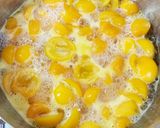 キンカンのチョコまみれ作り方2写真