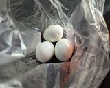 旨味がUP！オイスターソースの味つけ卵作り方3写真