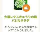 大根レタスきゅうりの塩バジルサラダ作り方6写真