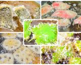 冷めてもサックサク・野菜天丼作り方6写真