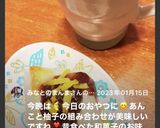 ふんわり柚子香るあんこでお餅作り方15写真