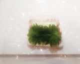 レンジde簡単！はんぺんクルクル巻き作り方4写真