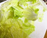 白菜とトマトの塩こうじサラダ作り方2写真