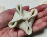 手作り肉まん(豚まん)の皮～コツいろいろ作り方7写真