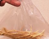 豆麺 ZENBUヌードルのフライドパスタ作り方5写真