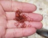 エビイカ豆腐作り方5写真