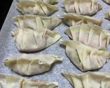 食感がたまらないシャキシャキ手作り餃子!作り方6写真