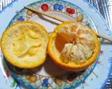 お箸1本の秘伝!?☆いよかんの皮むき☆☆作り方13写真