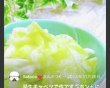 居酒屋のやみつきキャベツ　お通しにも◎作り方8写真