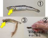 【基本】煮干しだし（図解）作り方1写真