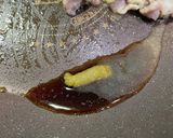 ZENBで作る豚肉のネギ塩パスタ作り方6写真